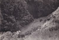 1948 06 16, aan het pootjebaden door een kleine Kali lekker voetbad 03