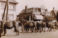 ,Paardenvordering 1939 Hardenberg, Gramsbergerweg