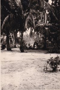 Herman, Woendi, Biak, Nieuw Guinea 15